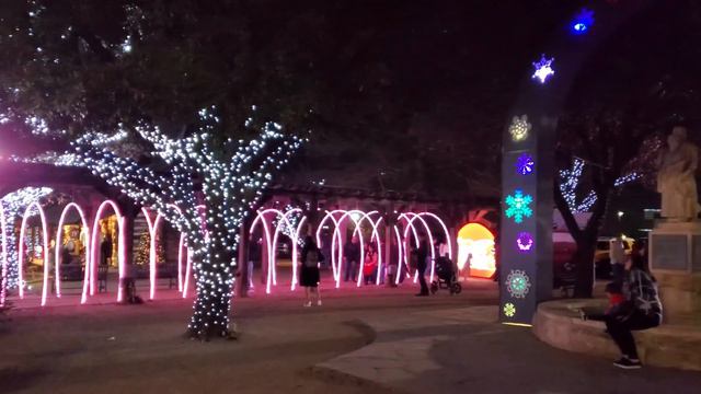 Top things to do in Dallas for Christmas смотреть онлайн