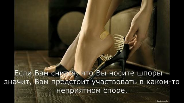 Сонник Миллера Шпора смотреть онлайн