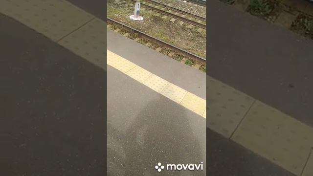 Станция Болдино, электропоезд 6994 Москва (Курский Вокзал) - Владимир и грузовой поезд