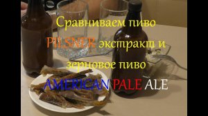 Сравниваем пиво PILSNER экстракт и зерновое пиво AMERICAN PALE ALE