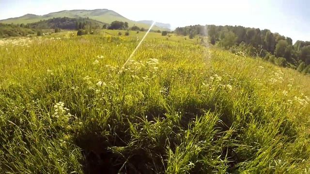 в поисках клада на новом месте Часть-1 смотреть онлайн