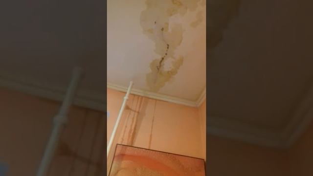 Течь кровли 2019 - 31 мая смотреть онлайн