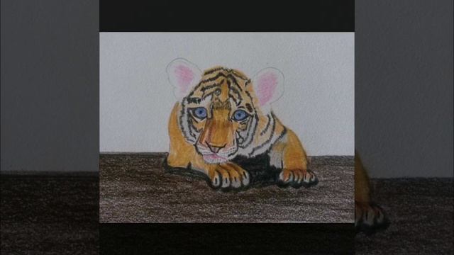 How to draw Tiger. Step by step/Как нарисовать Тигрёнка. Шаг за шагом смотреть онлайн