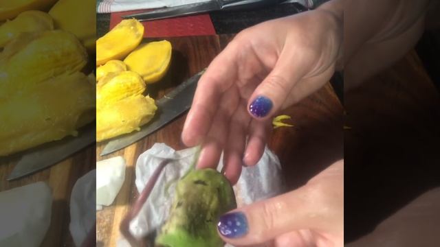 Проращивание Манго и Авокадо в домашних условиях смотреть онлайн