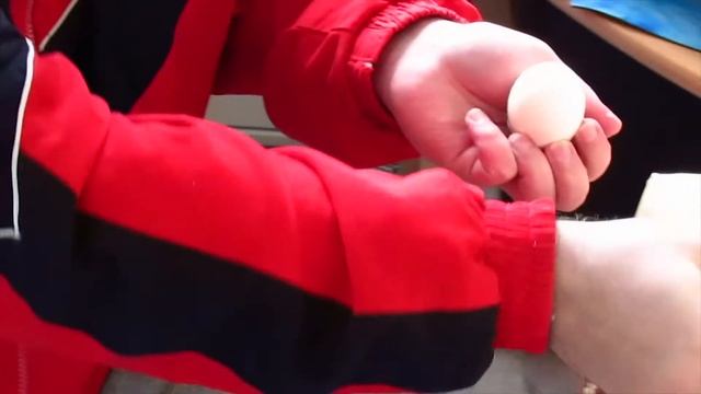 Чистим яйца за секунду! смотреть онлайн