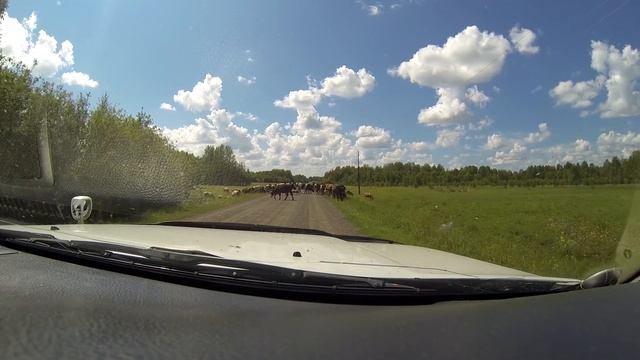 Где мы живём! Для кого то дикость! А для нас радость! смотреть онлайн