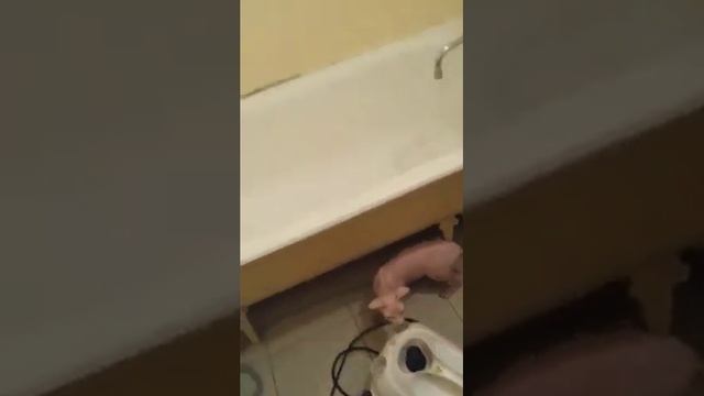 Стройка Проект