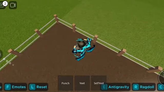 Обзор игры Ragdoll testing смотреть онлайн