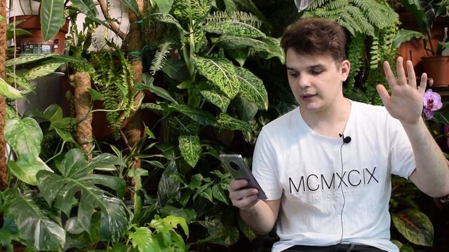 Одно из САМЫХ Редких Растений в МИРЕ из семейства АРОИДНЫХ смотреть онлайн