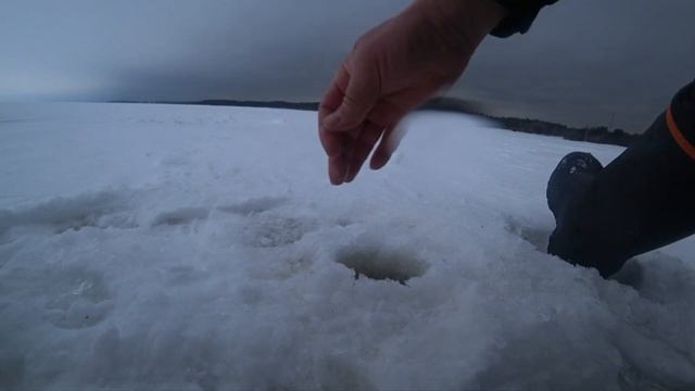 рыбалка на ведьму. Солнечное. 17.02.23. смотреть онлайн