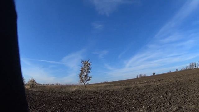 Охота на зайца-русака. 6.11.2021. смотреть онлайн