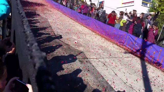 Cadbury Jaffa race Baldwin Street Dunedin смотреть онлайн