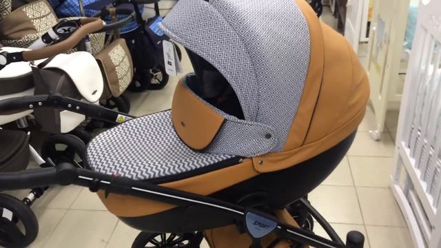 Коляска Anex Sport