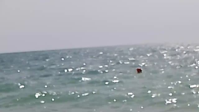 Жизнь в деревеньке