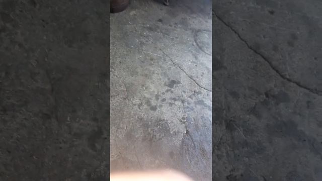 Вой в районе коробки кпп suzuki intruder vl1500 в чем причина? смотреть онлайн