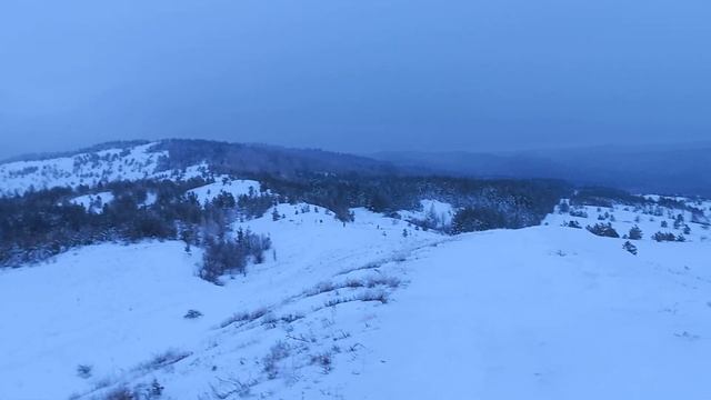 Вид на лес с Каланчи, Хвалынск, 4 января 2022 смотреть онлайн