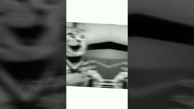 все фотографии с камеры котореэ делала София манасян с камеры приложениеcapct???????