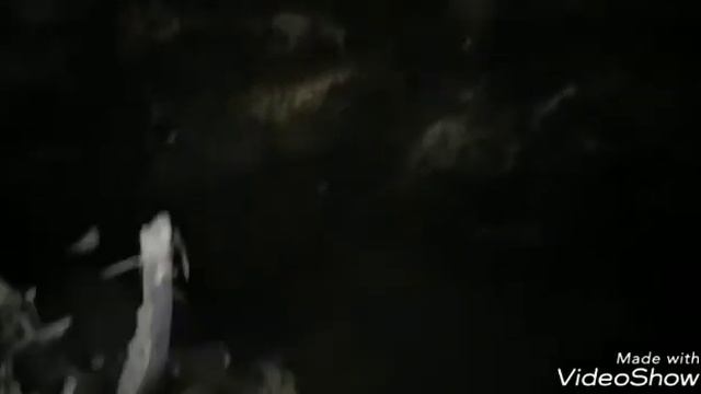 Будка для Данары#Данара роет ямы# смотреть онлайн
