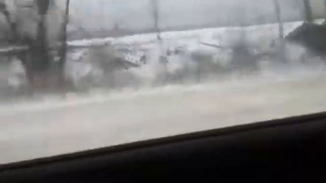 Лось бежит по дороге!!! смотреть онлайн