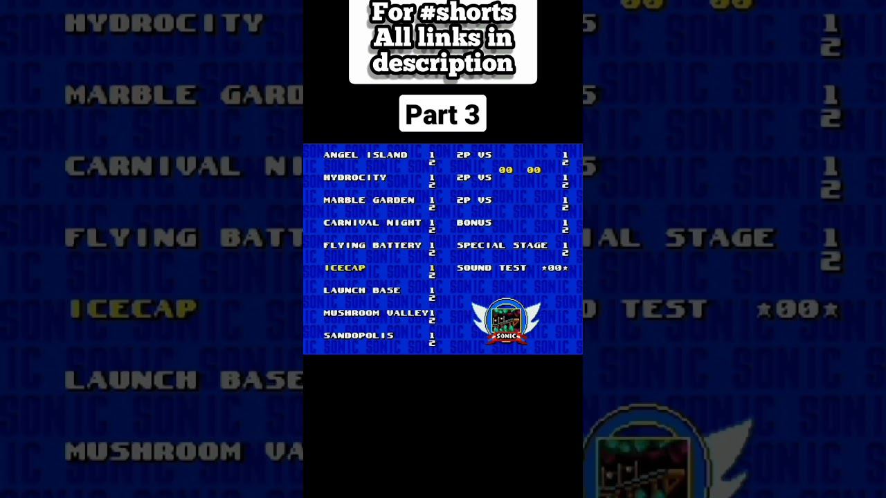 100 Sonic Rom Hacks for your smartphone With RetroArch and MD emulators Vertical edition #shorts #3 смотреть онлайн