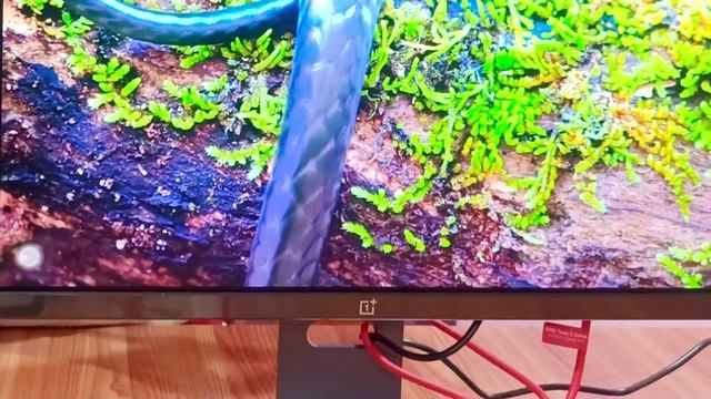 Oneplus E24 FHD Monitor Unboxing & Review ?|| Best Monitor Under 11999! Buy Or Not? смотреть онлайн