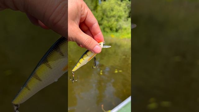 Воблеры для разных случаев смотреть онлайн