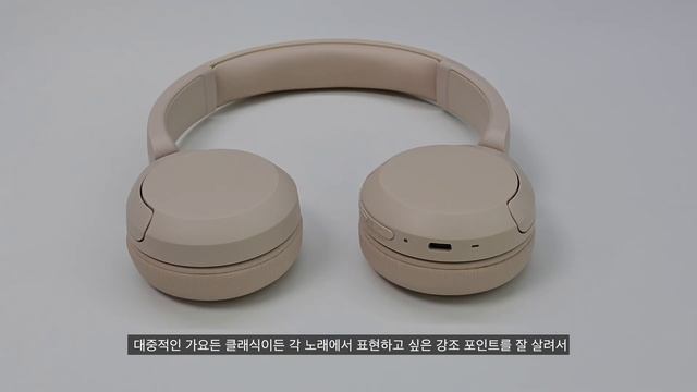 소니 WH-CH520 간단리뷰 [가성비헤드폰추천] смотреть онлайн