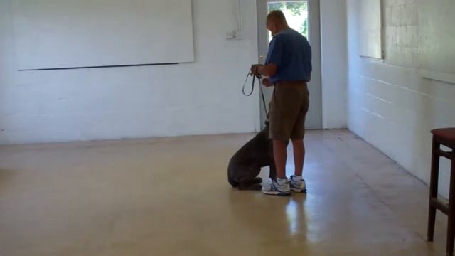 Sophia Rissmiller смотреть онлайн