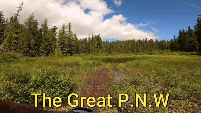 Government Camp To Rhododendron MTB Trail #Mthood #GoExplore смотреть онлайн