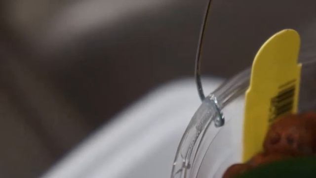 Why So Popular? | Phal tetraspis C1 | Orchid Growing Care Tips смотреть онлайн