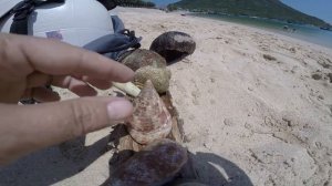 Пляж с ракушками. Вьетнам. Нячанг