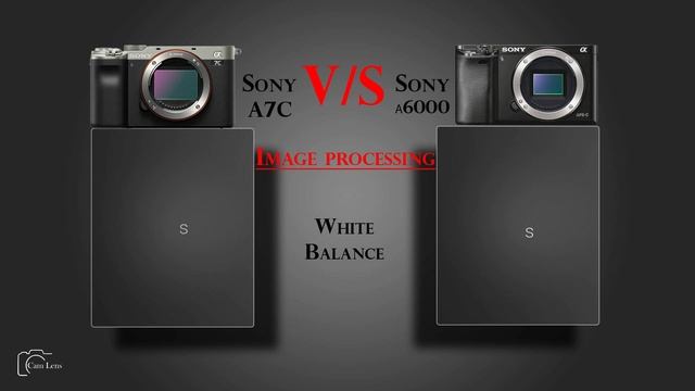Sony Alpha A7C Vs Sony α6000