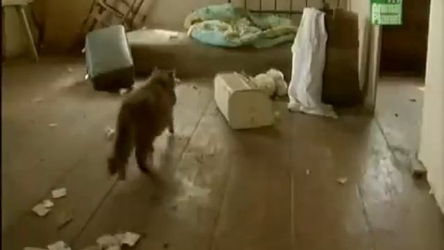 Мутанты в Чернобыле.Mutants In Chernobyl