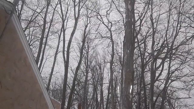 The Christmas Blizzard of 2022 смотреть онлайн