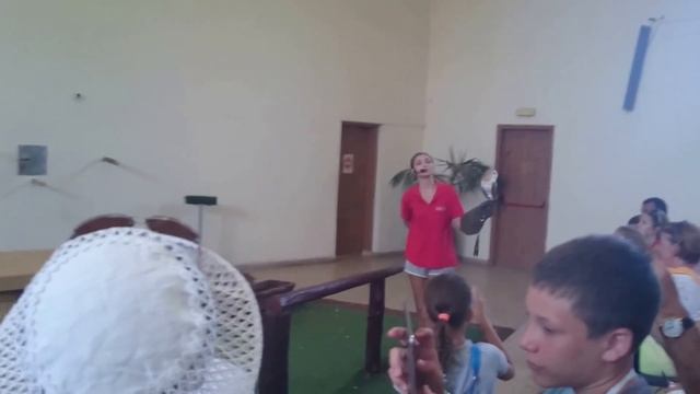 Сова Гарри Поттера смотреть онлайн