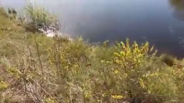 Прогулка по улице мелиораторов смотреть онлайн