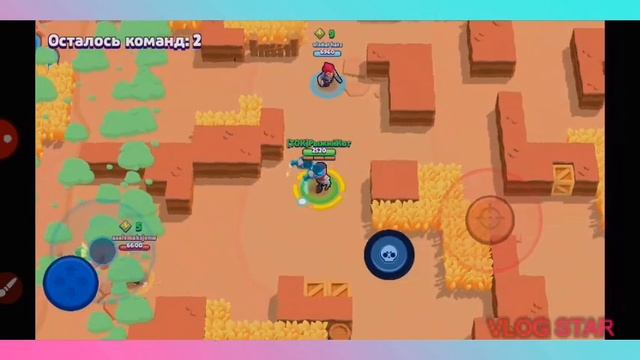 Рыжий Кот играет в Brawl Stars смотреть онлайн
