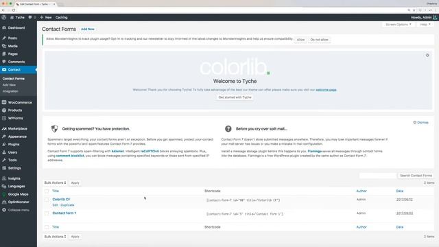 Tyche Theme Option Walkthrough (Contact page, color scheme, footer, layout, banners) смотреть онлайн