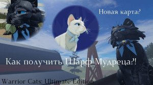 КАК ПОЛУЧИТЬ ШАРФ МУДРЕЦА НА НОВОЙ КАРТЕ? Warrior Cats: Ultimate Edition || Lingering Rain ||