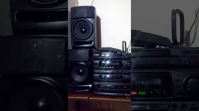 Aiwa z1200 a un 1/3 de vol , el oso negro смотреть онлайн