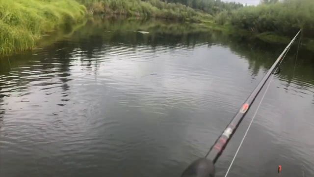 Дикий клев на поппера в Якутии / Лето-2018 смотреть онлайн