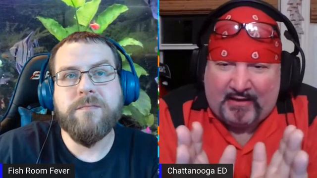 🔴 The T.A.N.K Show - Aquarium Talk And Help Live (LIVESTREAM) смотреть онлайн