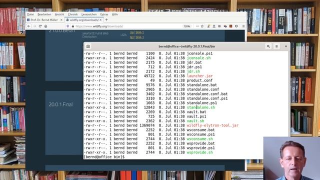 Install WildFly Application Server смотреть онлайн
