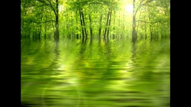 Om Tare Tuttare смотреть онлайн