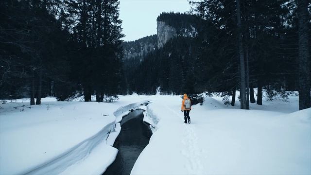 Do This When Someone Blames You | Art of Living смотреть онлайн