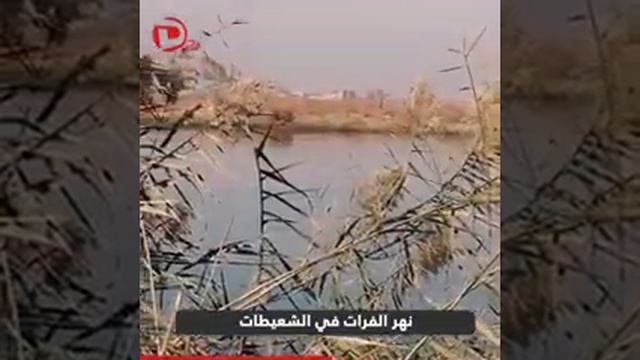نهر الفرات في الشعيطات смотреть онлайн