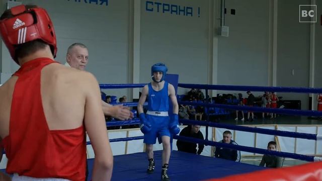 Турнир по боксу памяти Авенира Соснова смотреть онлайн