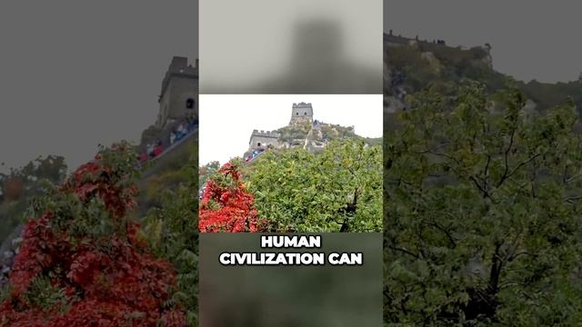 The Great Wall A Timeless Symbol of Unity and Human Achievement смотреть онлайн