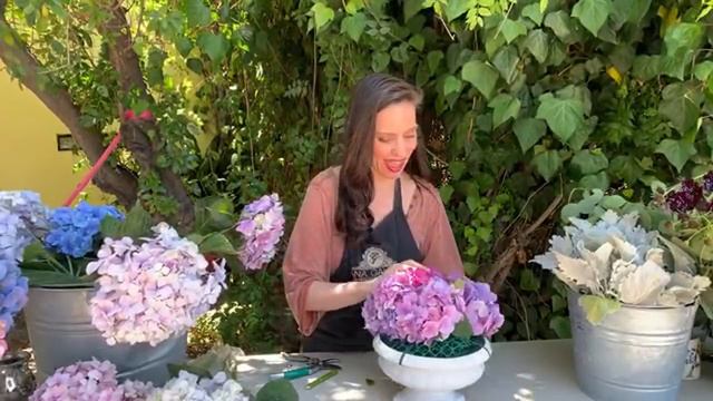 En Vivo con Ana Galena: Hortensias y todo lo que quieres saber para usarlas en arreglos florales смотреть онлайн