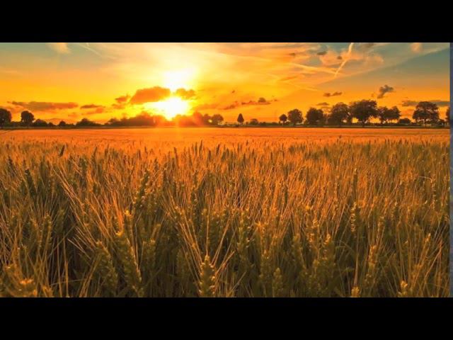 Hans Zimmer   Now We Are Free Magdelayna Remake